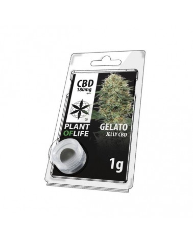 JELLY AU CBD 18%  GELATO 1g