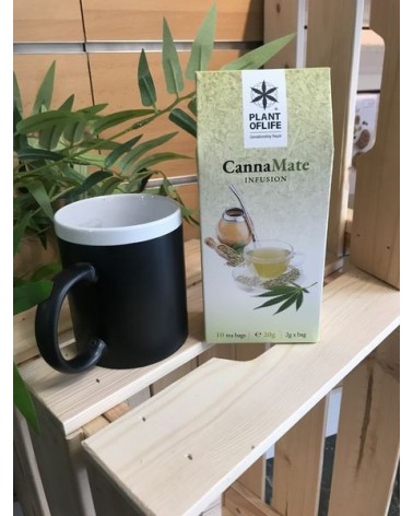 Infusion de chanvre canna mate