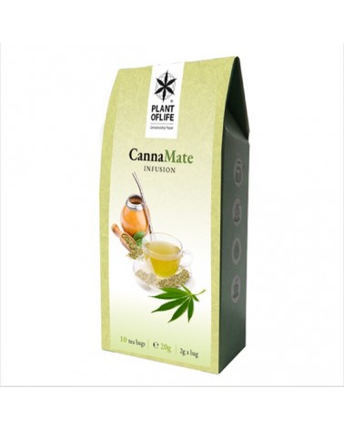 Infusion de chanvre canna mate