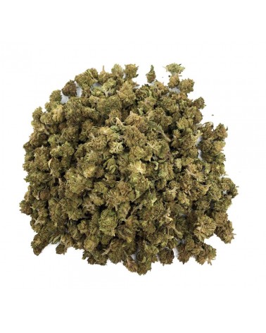 SMALL BUD Fleur de CBD