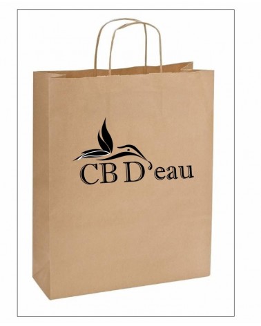 Lot de 100 grand sac Kraft cbdeau