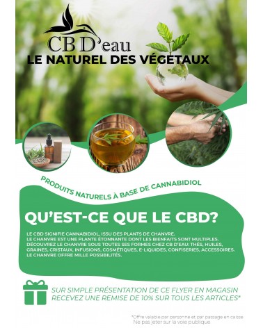 Flyers CBD'Eau avec photo magasin (A6)