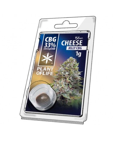 JELLY AU CBG 33% Blue Cheese 1g