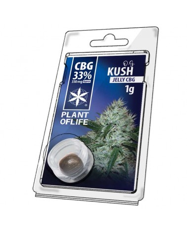 JELLY AU CBG 33% O.G Kush 1g