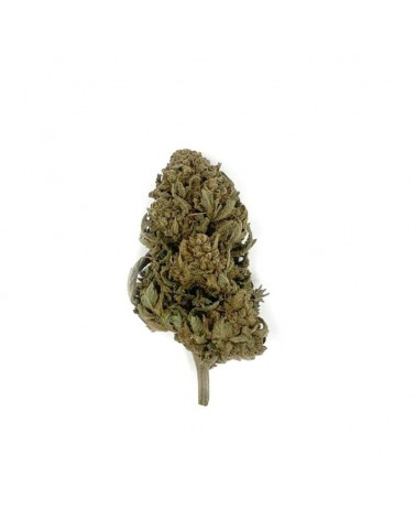 Fleur de CBD Orange Bud NAZA 3gr