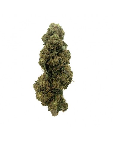 Fleur de CBD Amnesia NAZA 3gr