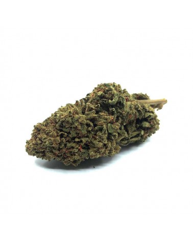 ORANGE BUD Fleur de CBD