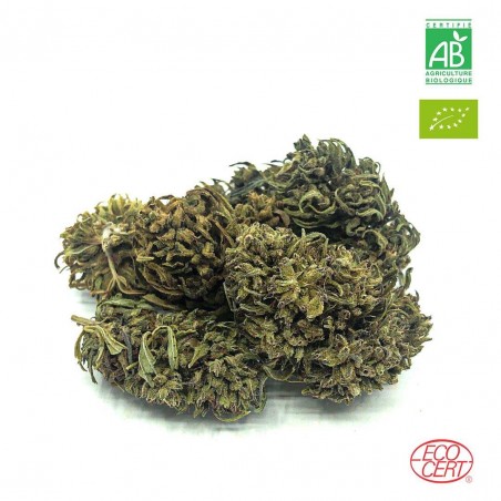 LEMON Fleur de CBD de PROVENCE