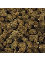 Fleur de CBD - SMALL BUD PREMIUM WOODY