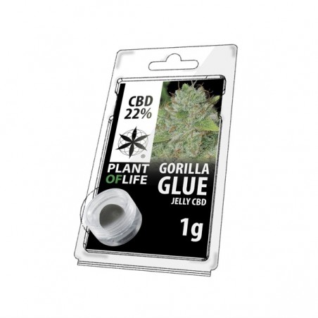 JELLY AU CBD 22% GORILLA GLUE 1g