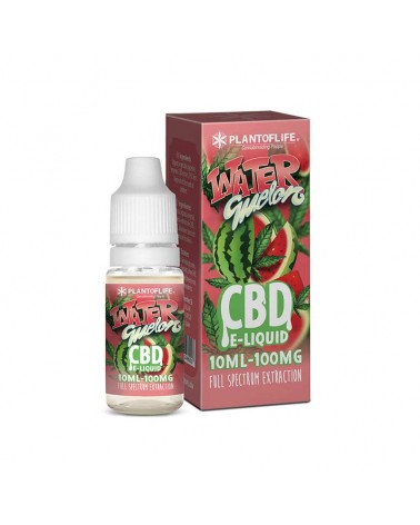 E-liquide WATERMELON 100mg de CBD